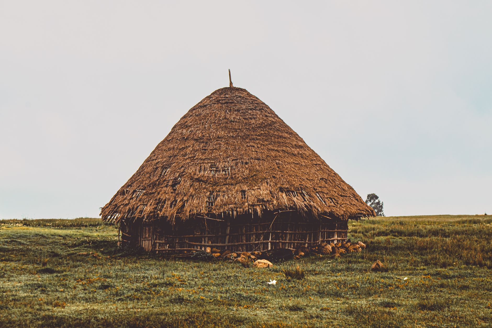 Cabana tradicional de formato redondo, com telhado de palha, num campo aberto