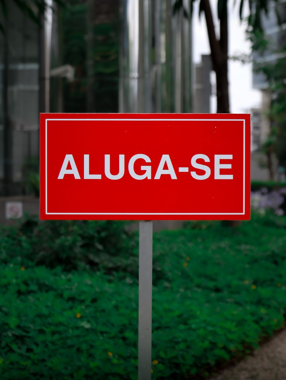 Placa vermelha escrita ALUGA-SE na calçada, em frente a um imóvel